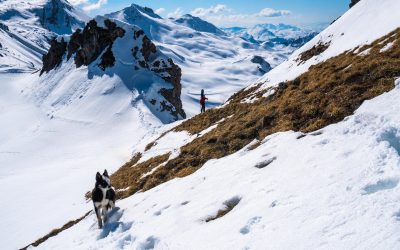 Frühlings-Skitouren in Davos Klosters: Hier die besten Gründe dafür