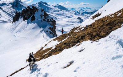 Spring ski touring in Davos Klosters The best reasons to do it