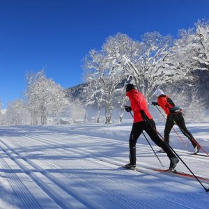 two persons skiing cross country in winter