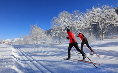 Ski Cross Country Private Lessons