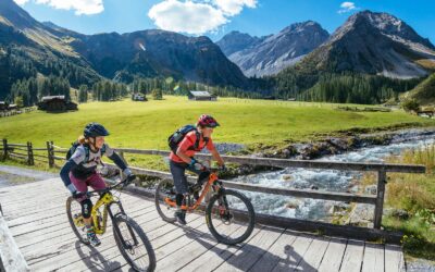Mountain Bike Guide for Beginners