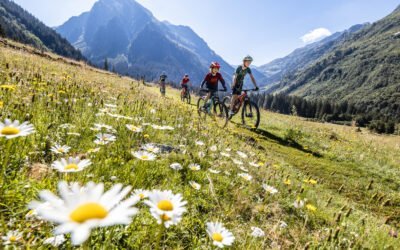Family Bike Guide